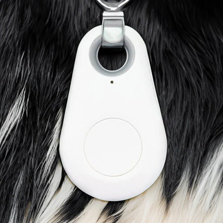 Pets Smart Waterproof GPS Tracker - Coldesk