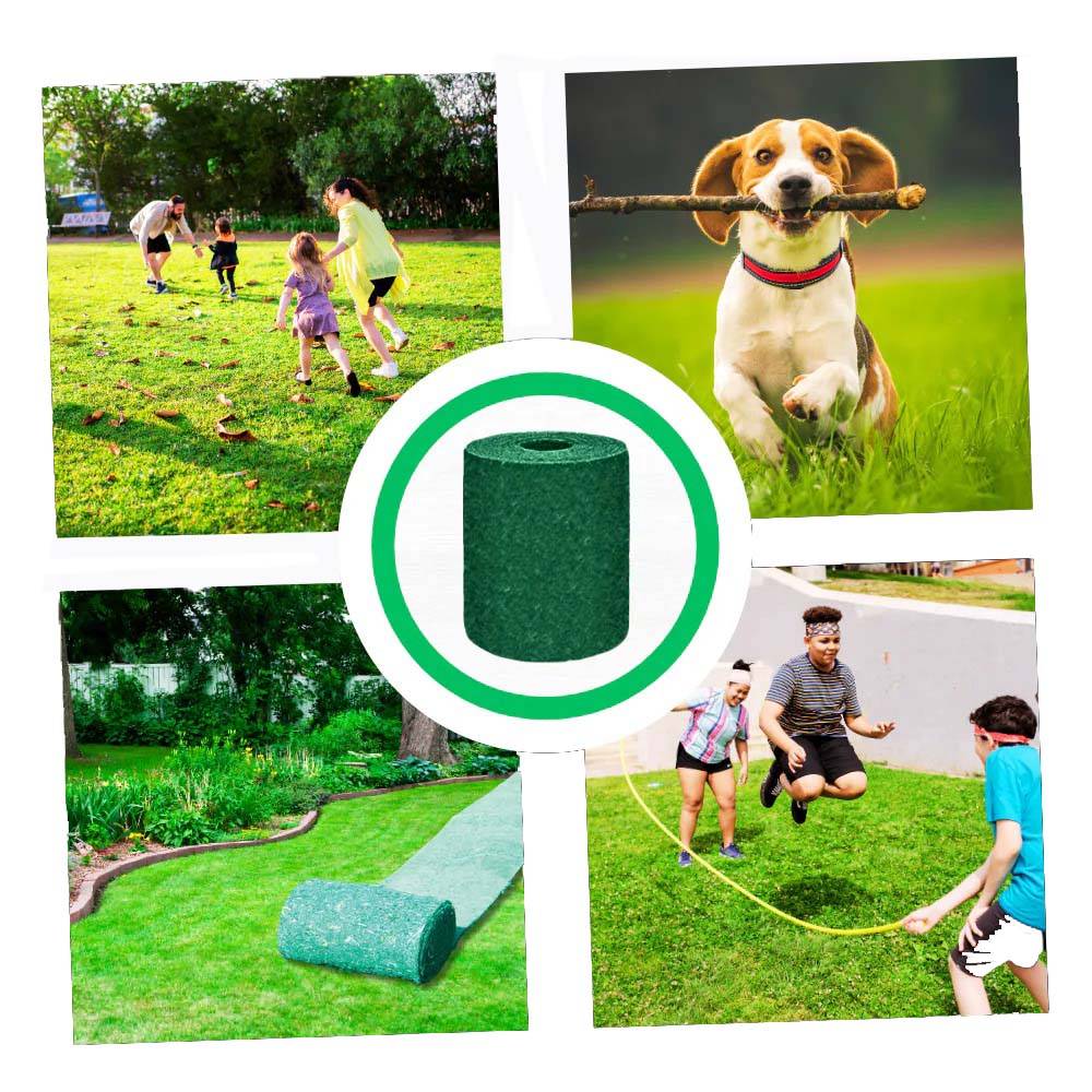 Quick Fix Green Grass Seed Mat - Coldesk