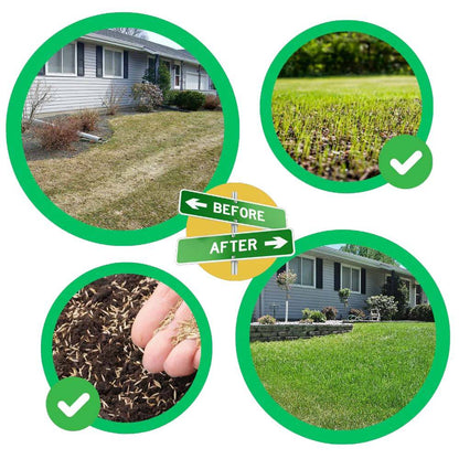 Quick Fix Green Grass Seed Mat - Coldesk
