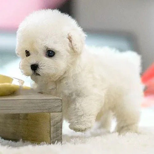 Realistic Interactive Plush Puppy Toy - Coldesk