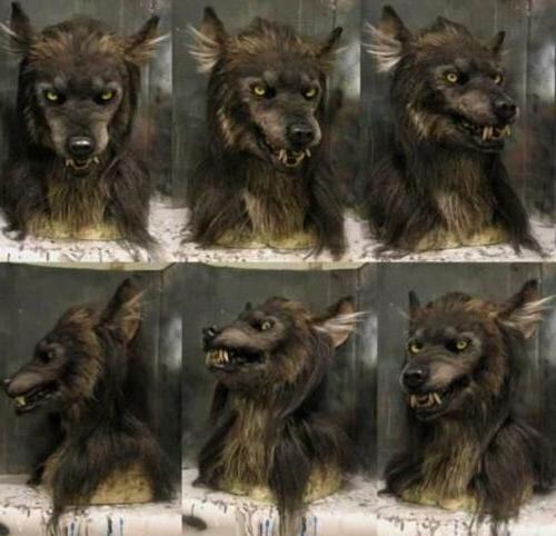 Scary Wolf Mask - Costume Mask for Halloween Masquerade Party - Coldesk