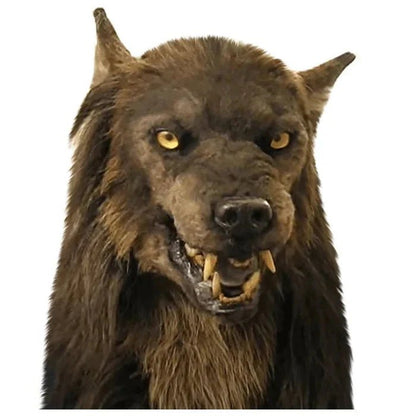 Scary Wolf Mask - Costume Mask for Halloween Masquerade Party - Coldesk