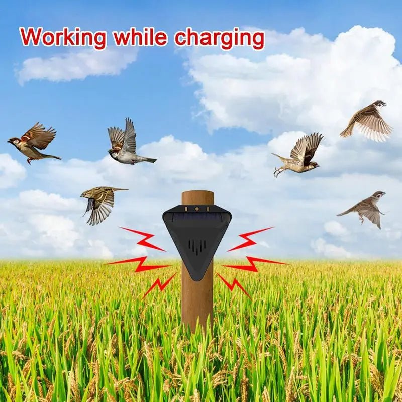 Solar Outdoor Bird Repeller - Coldesk