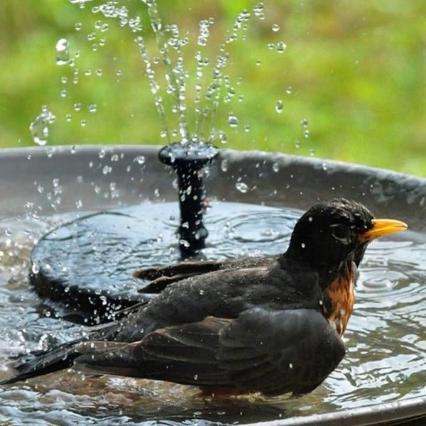 Solar Water Fountain for Garden -Eco-Friendly Outdoor Solar-Powered Fountain, Gift for Garden Lovers, Garden Fountain - Coldesk