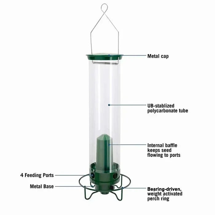 Squirrel-Proof Bird Feeder - Coldesk