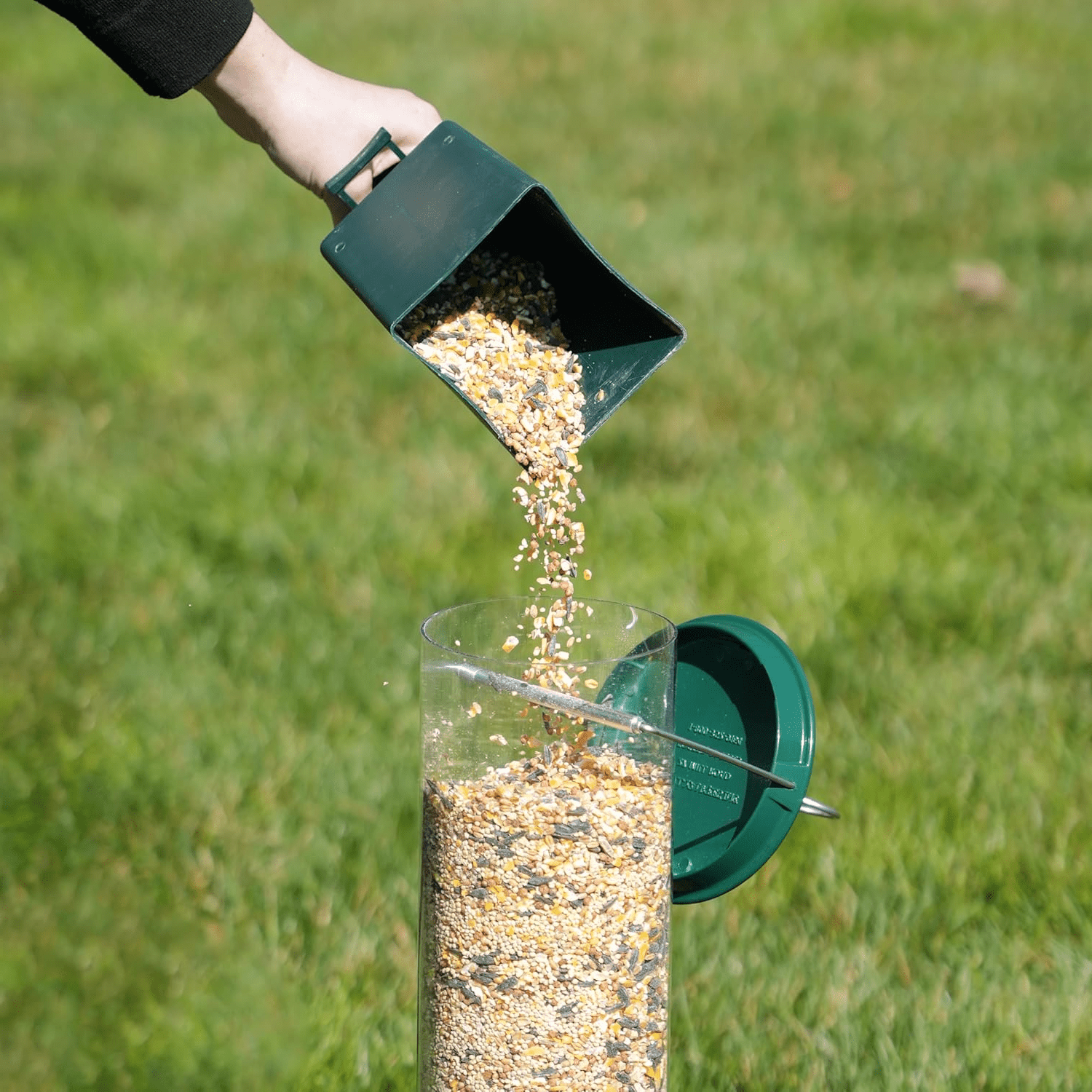 Squirrel Proof Bird Feeder - Coldesk