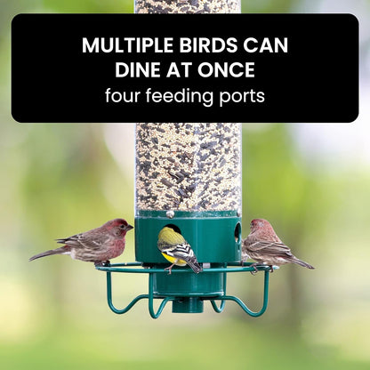 Squirrel-Proof Bird Feeder - Coldesk