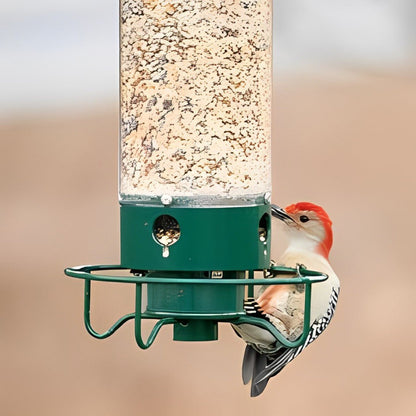 Squirrel-Proof Bird Feeder - Coldesk