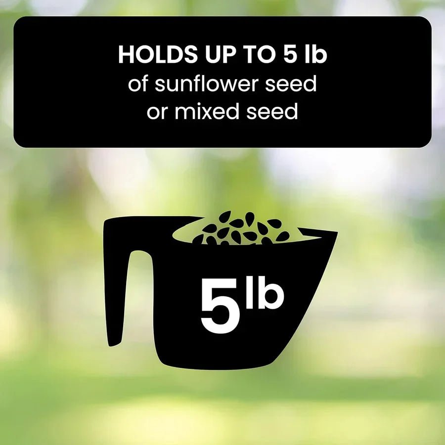 Squirrel Proof Bird Feeder - Coldesk