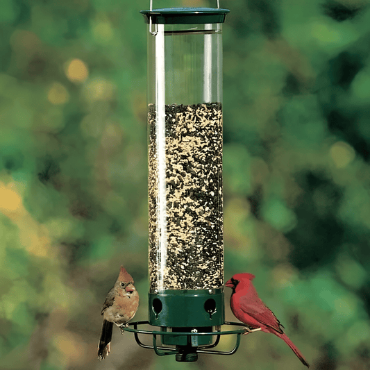 Squirrel-Proof Bird Feeder - Coldesk