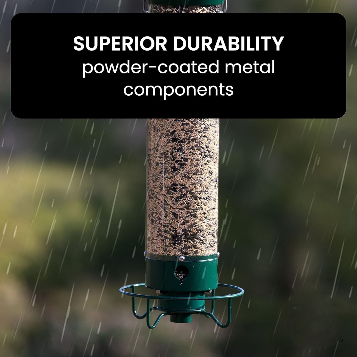 Squirrel-Proof Bird Feeder - Coldesk