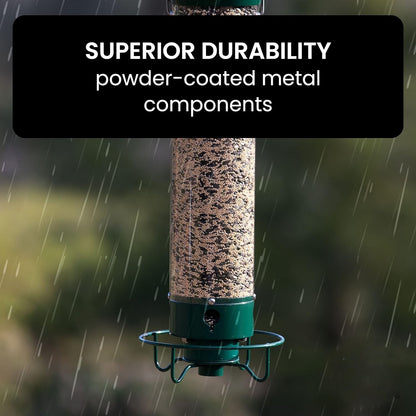 Squirrel-Proof Bird Feeder - Coldesk
