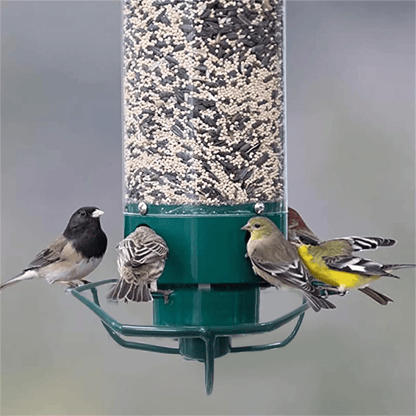 Squirrel Proof Bird Feeder - Coldesk