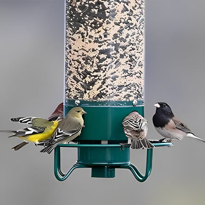 Squirrel-Proof Bird Feeder - Coldesk