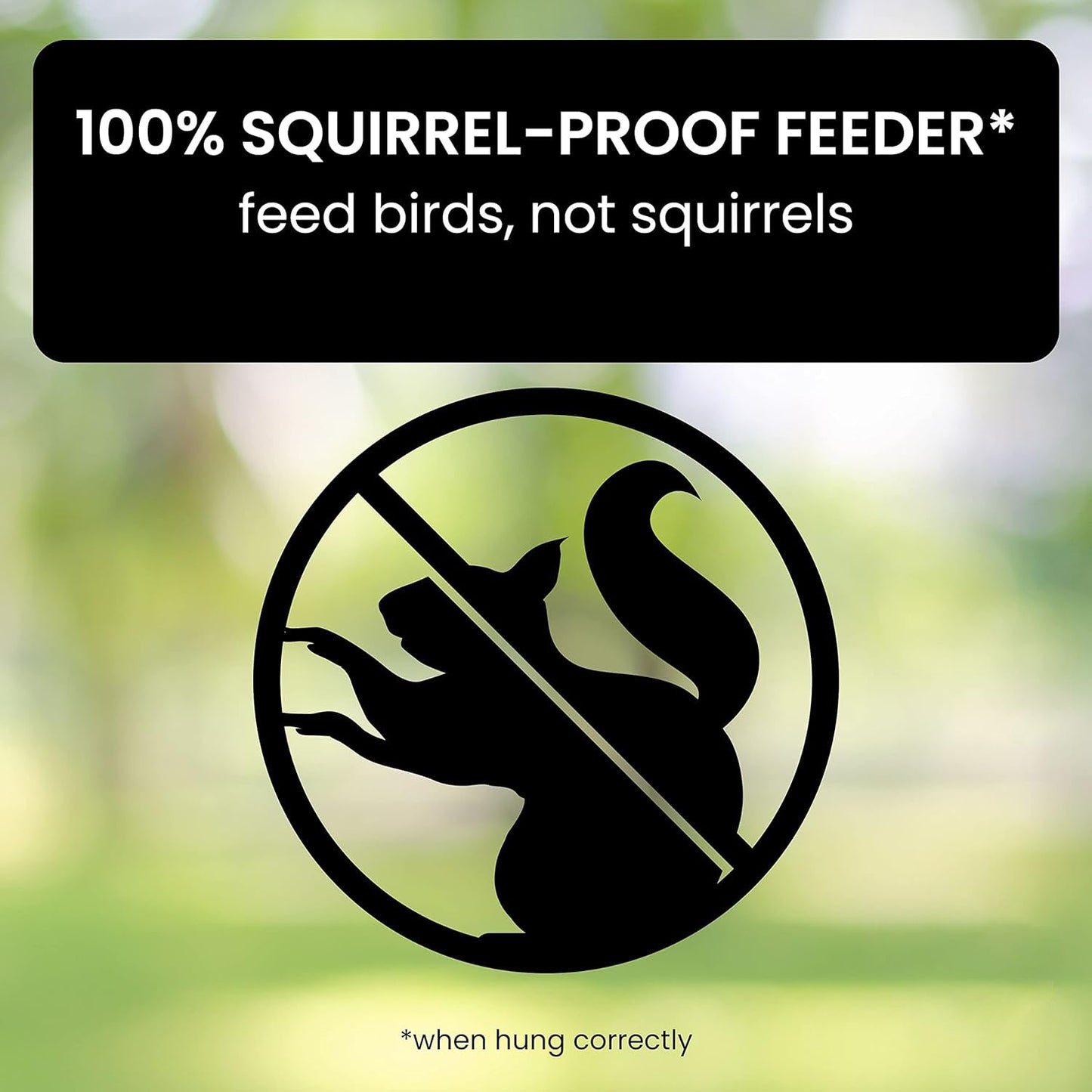 Squirrel-Proof Bird Feeder - Coldesk
