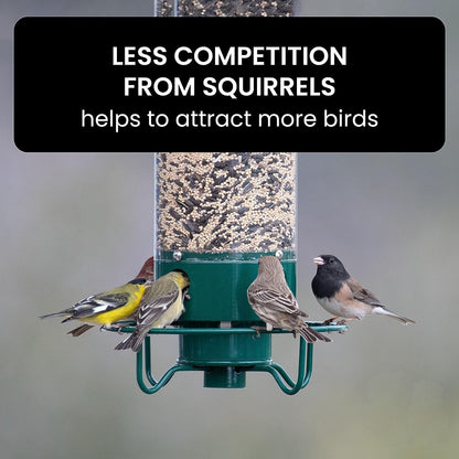 Squirrel-Proof Bird Feeder - Coldesk