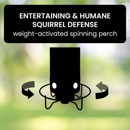 Squirrel-Proof Bird Feeder - Coldesk