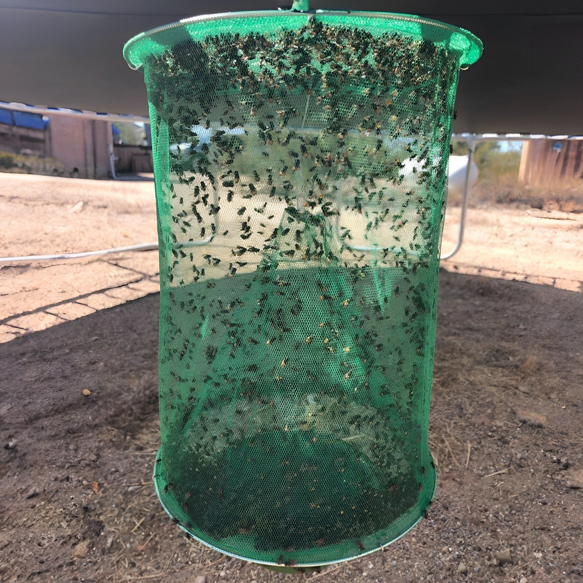 Stable Fly Trap - Coldesk