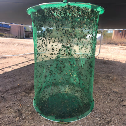 Stable Fly Trap - Coldesk