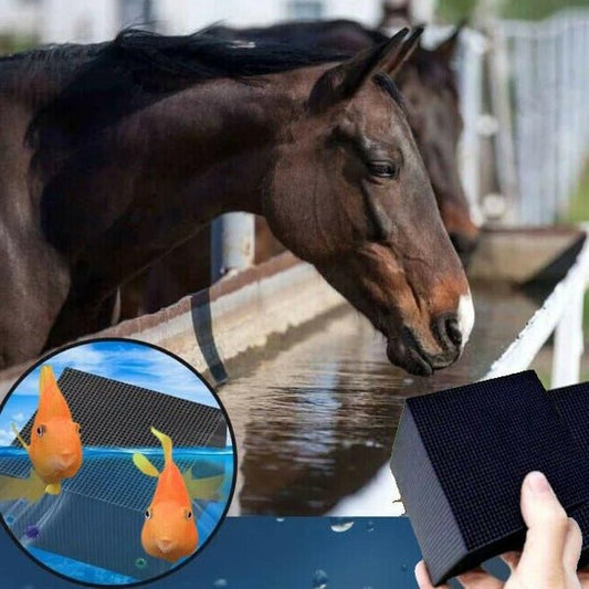 Water Purifier Bio Cube for Livestock Aquarium & Horse Trough - Coldesk